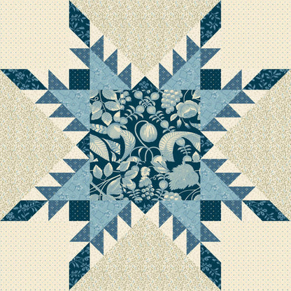 Feathered Star Templates - Precision Acrylic Quilting Templates