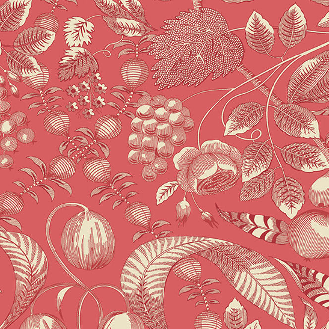 Strawberries and Cream Rouge Valley A-354-E image 0