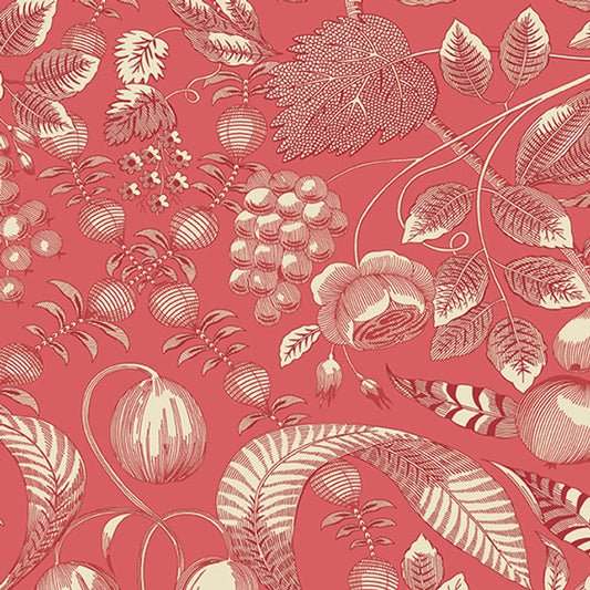 Strawberries and Cream Rouge Valley A-354-E image 0