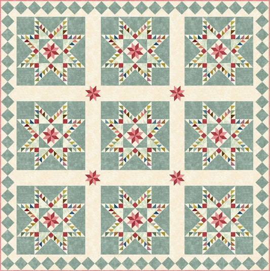 Heritage Feathered Star Pattern image 0