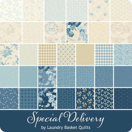 Special Delivery - 5 Inch Square - 42 Cuts Each